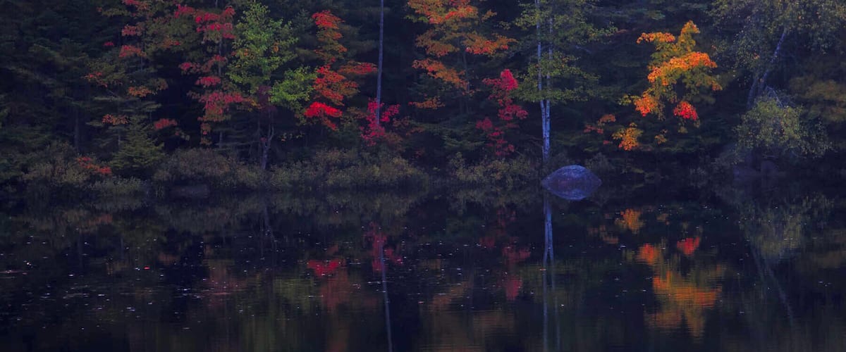 A forest with autumn foliage reflecting on a calm lake.