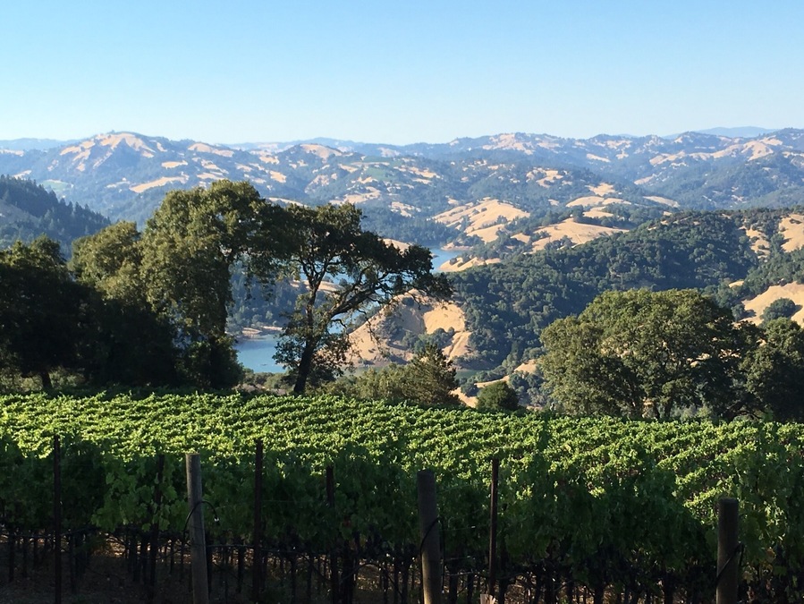 Special dinner spot in the vineyard