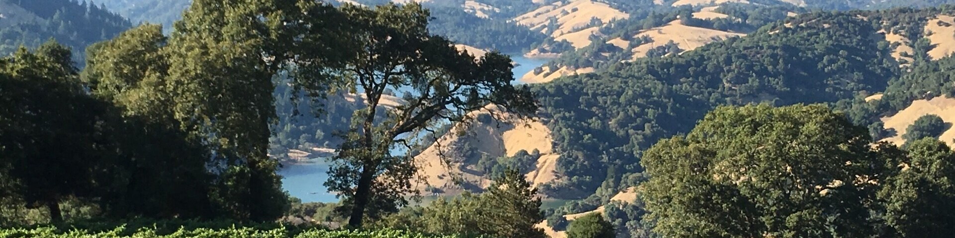 Special dinner spot in the vineyard