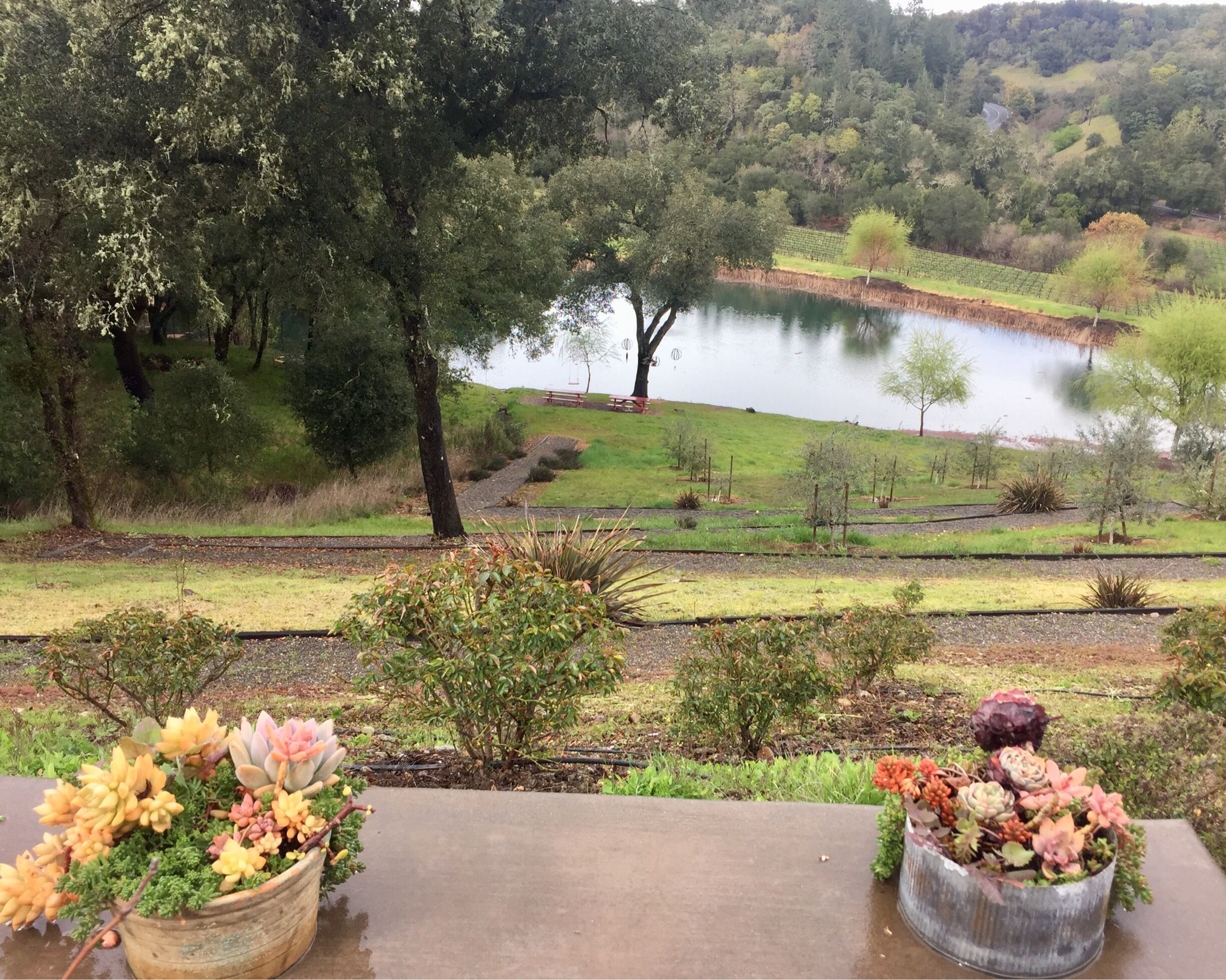 Another tasting room with a beautiful view here in the Dry Creek Valley. 