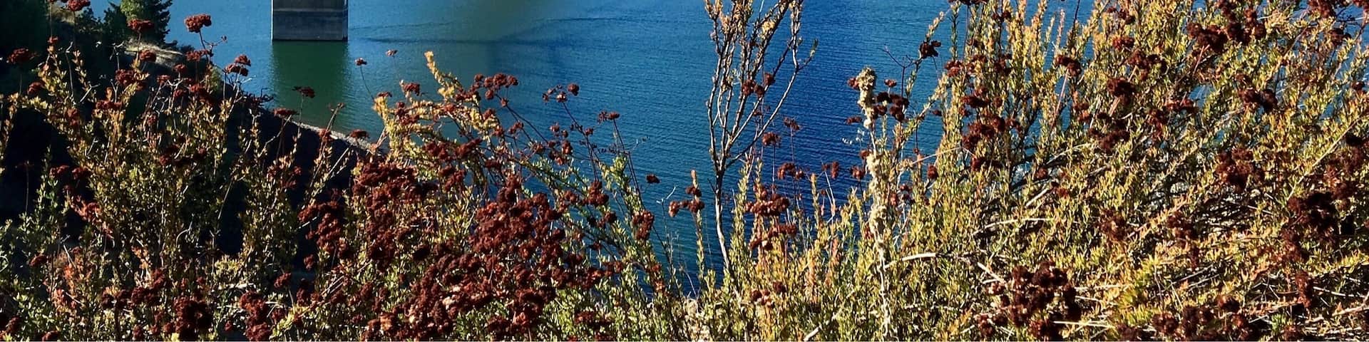 Pretty, clear day at Lake Sonoma.
This is a man made reservoir in the middle of Sonoma wine country. An old town complete with a hot springs resort was flooded during the process of creating it. Coho Salmon and Steelhead Trout are bred at the fishery here.
#Bridges
#Blue #California #Water