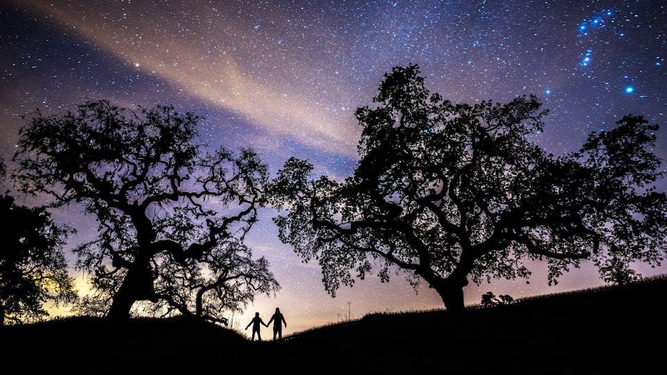 A night sky filled with stars, silhouettes of two people, and large trees.