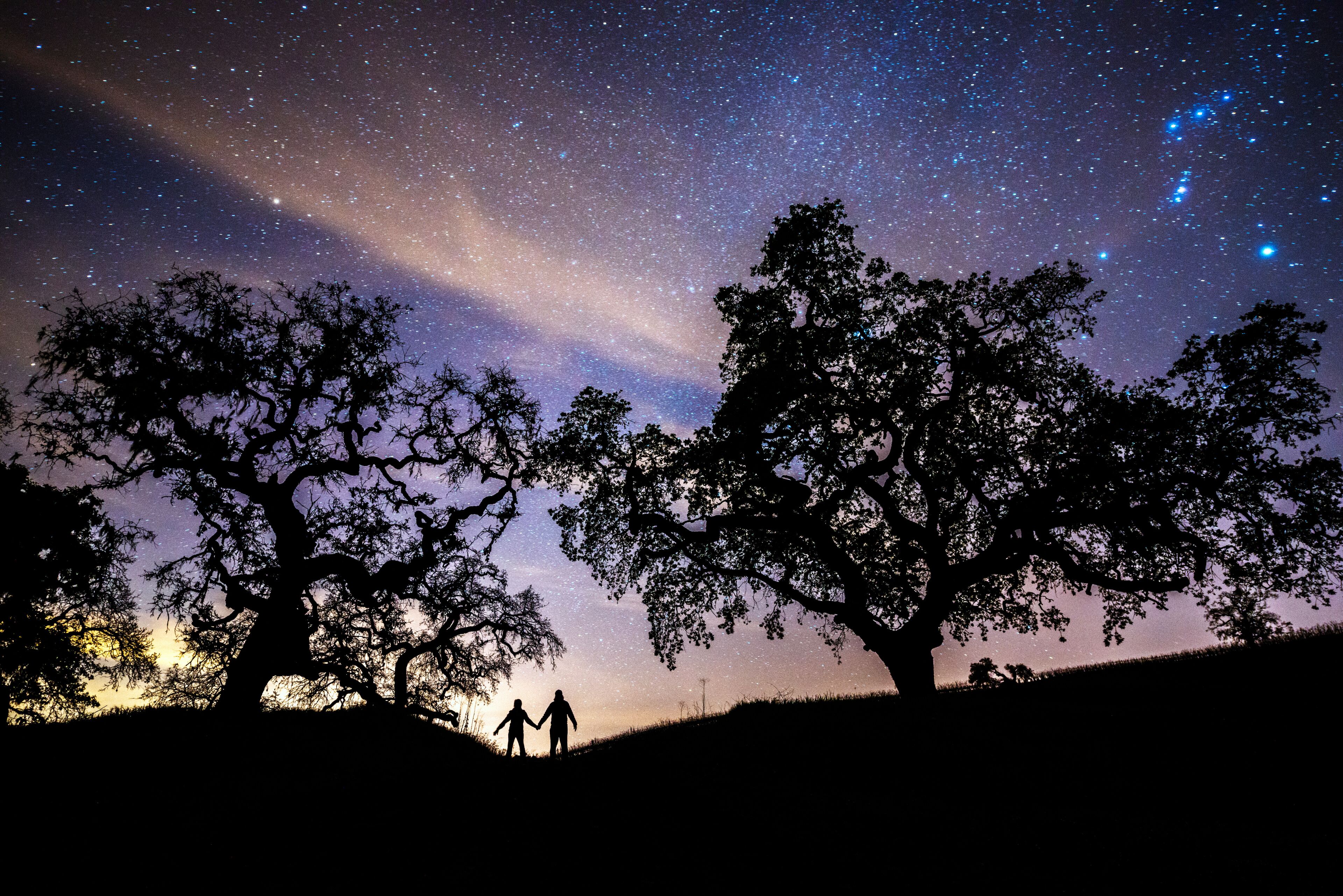 A night sky filled with stars, silhouettes of two people, and large trees.