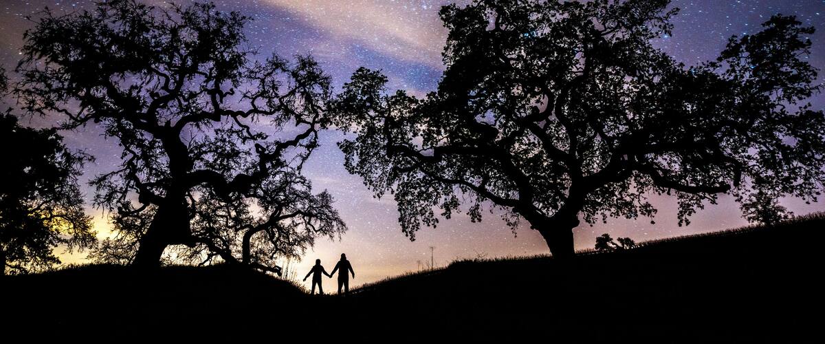 A night sky filled with stars, silhouettes of two people, and large trees.