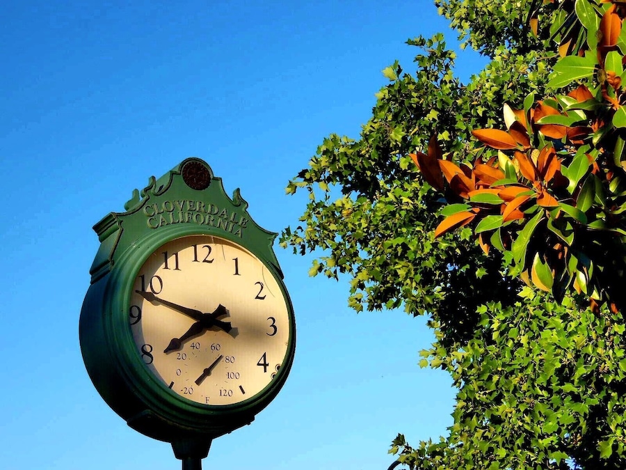 Un reloj con la inscripción 'GLOVERDALE CALIFORNIA' en la parte superior, rodeado de follaje verde.