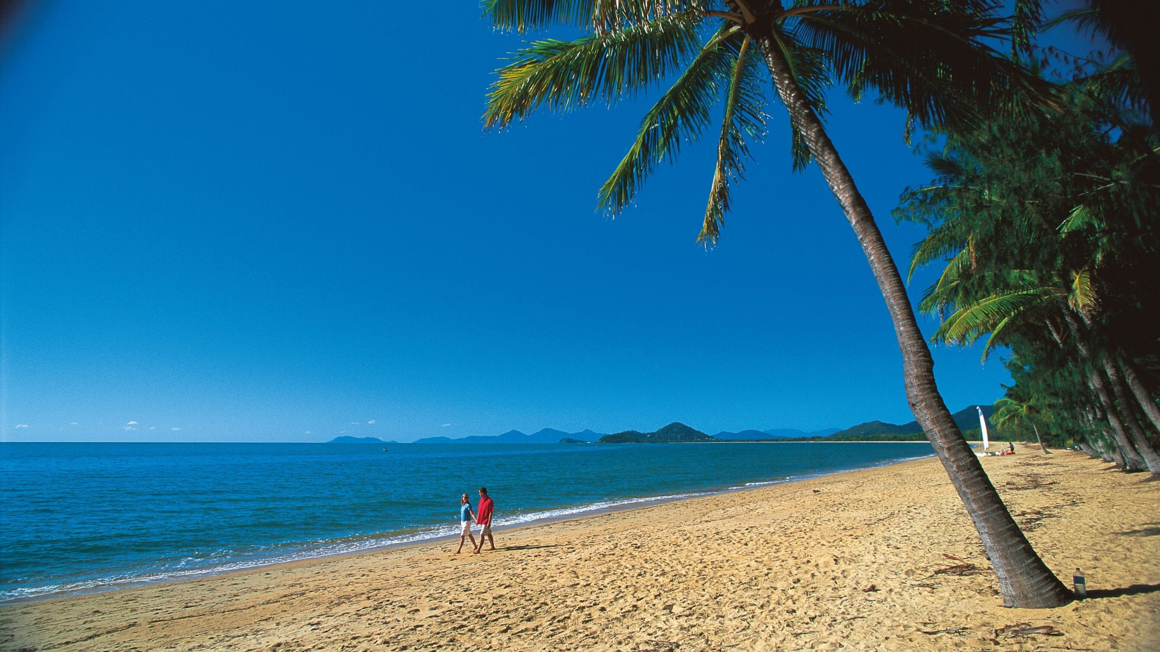 Palm Cove featuring tropical scenes, a sandy beach and landscape views