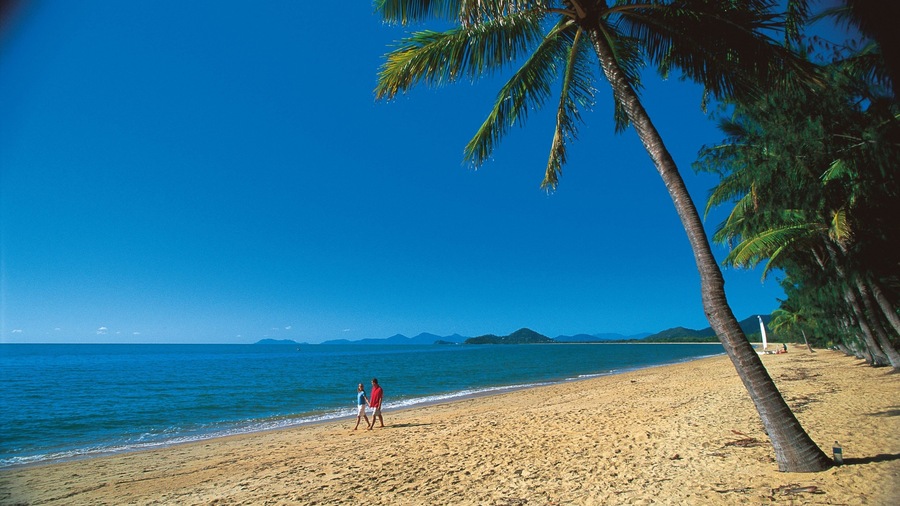 A beach with palm trees and a clear blue sky.