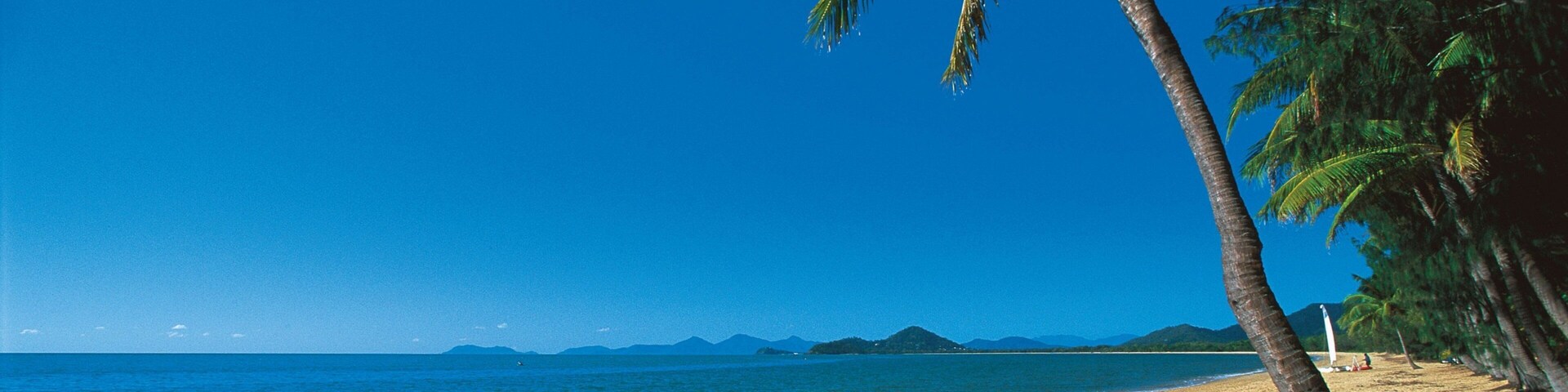 Una playa con palmeras y un cielo azul despejado.