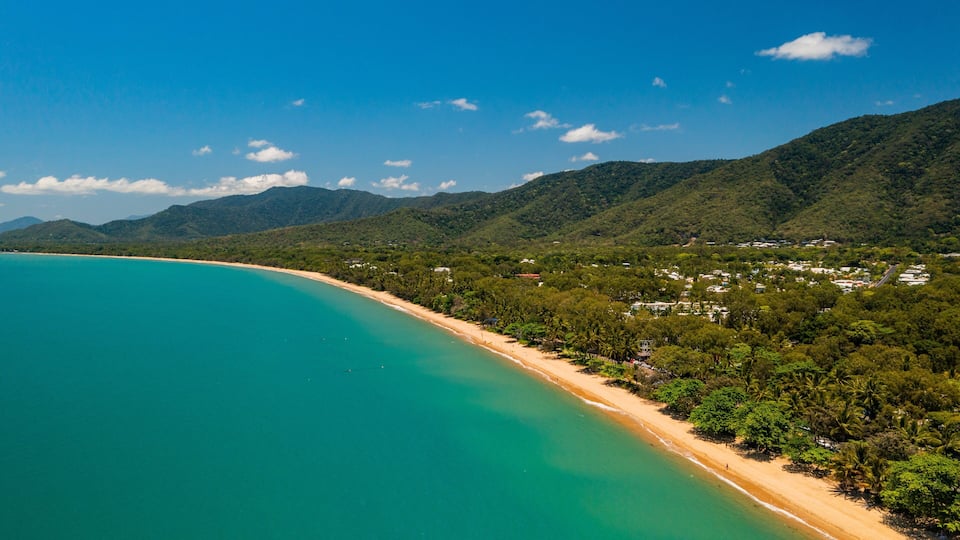 Palm Cove showing landscape views and general coastal views