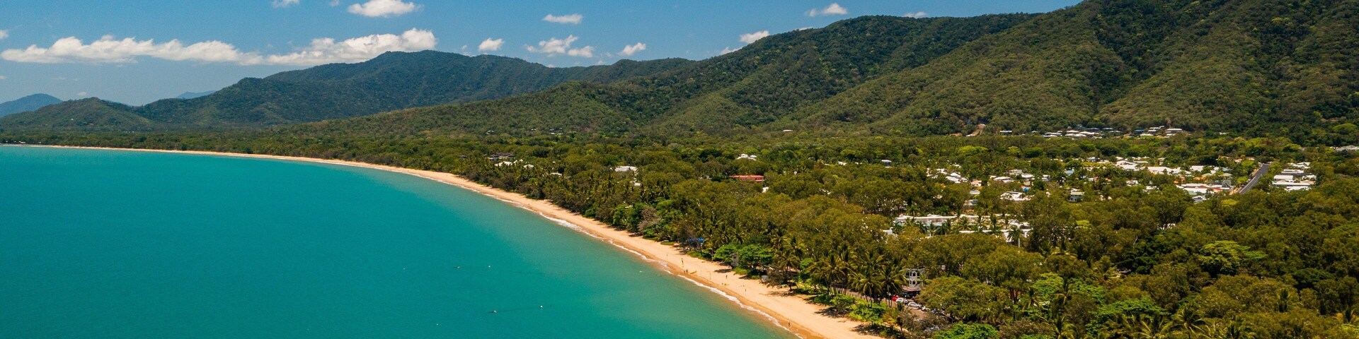 Palm Cove showing landscape views and general coastal views
