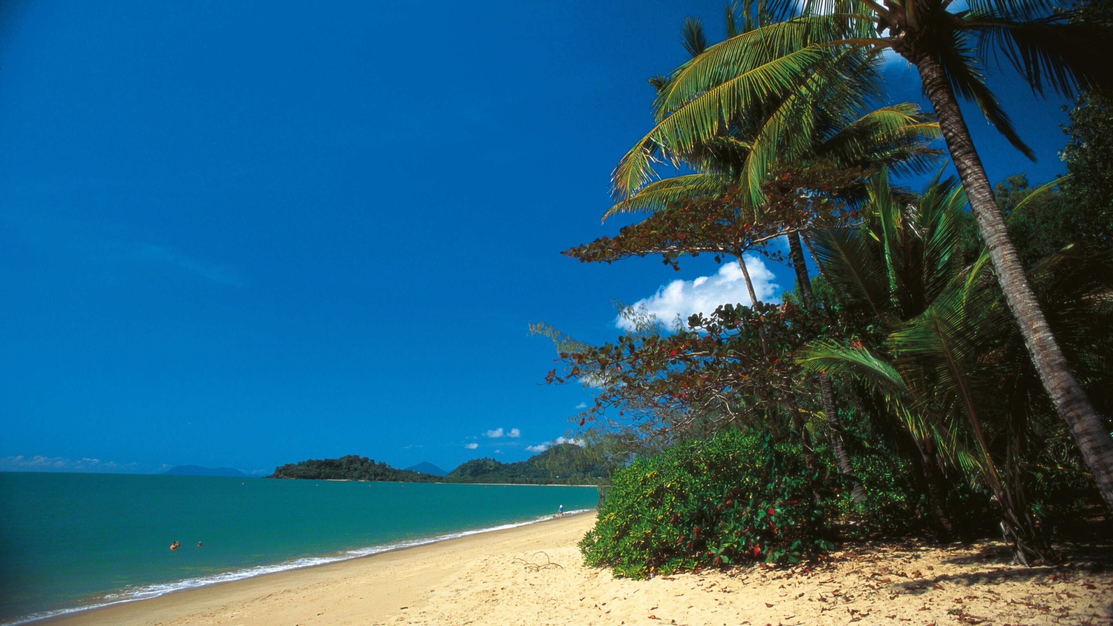 Una playa con agua turquesa cristalina, orilla de arena y palmeras.