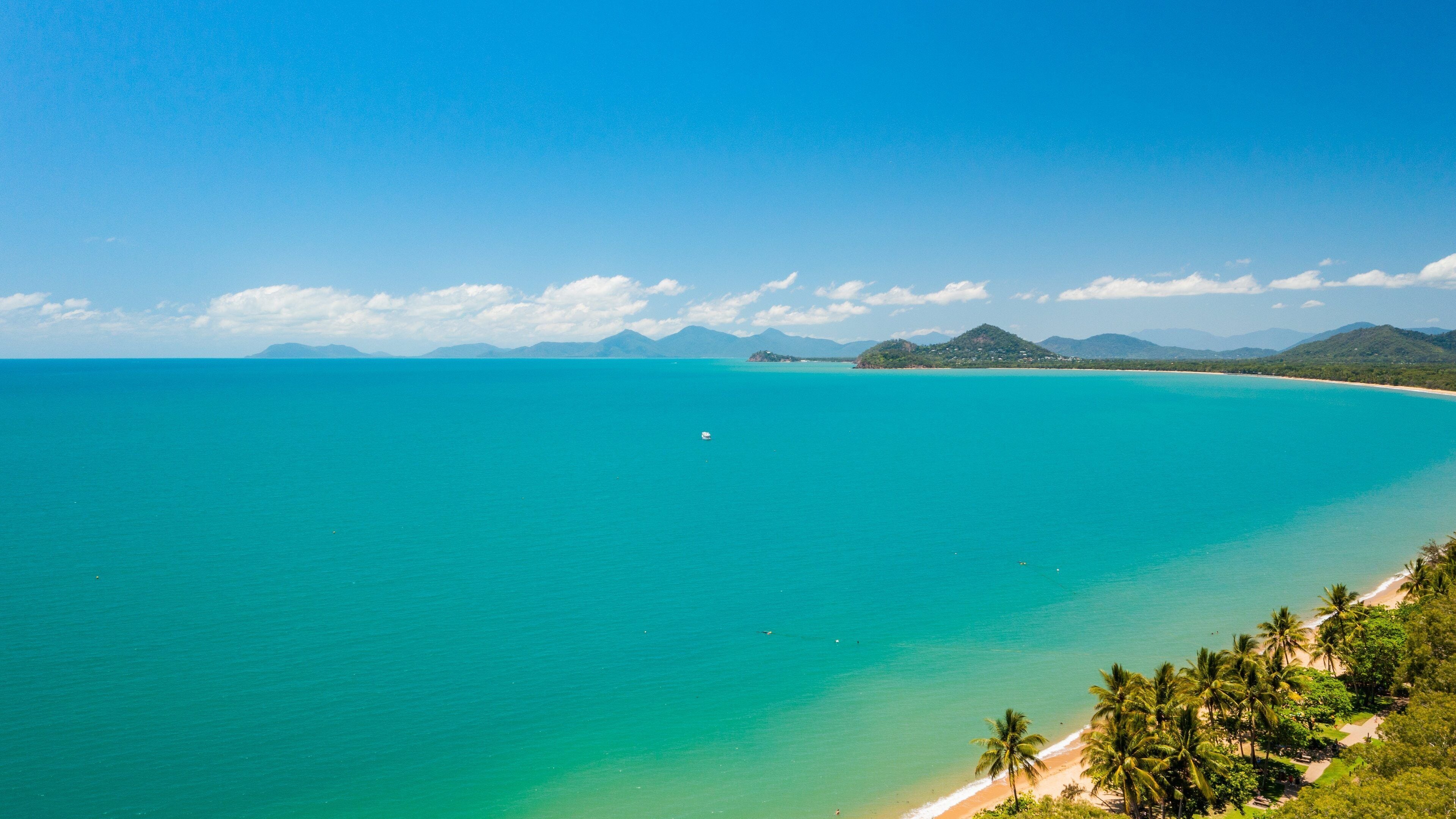 A turquoise sea, a sandy beach, and palm trees.