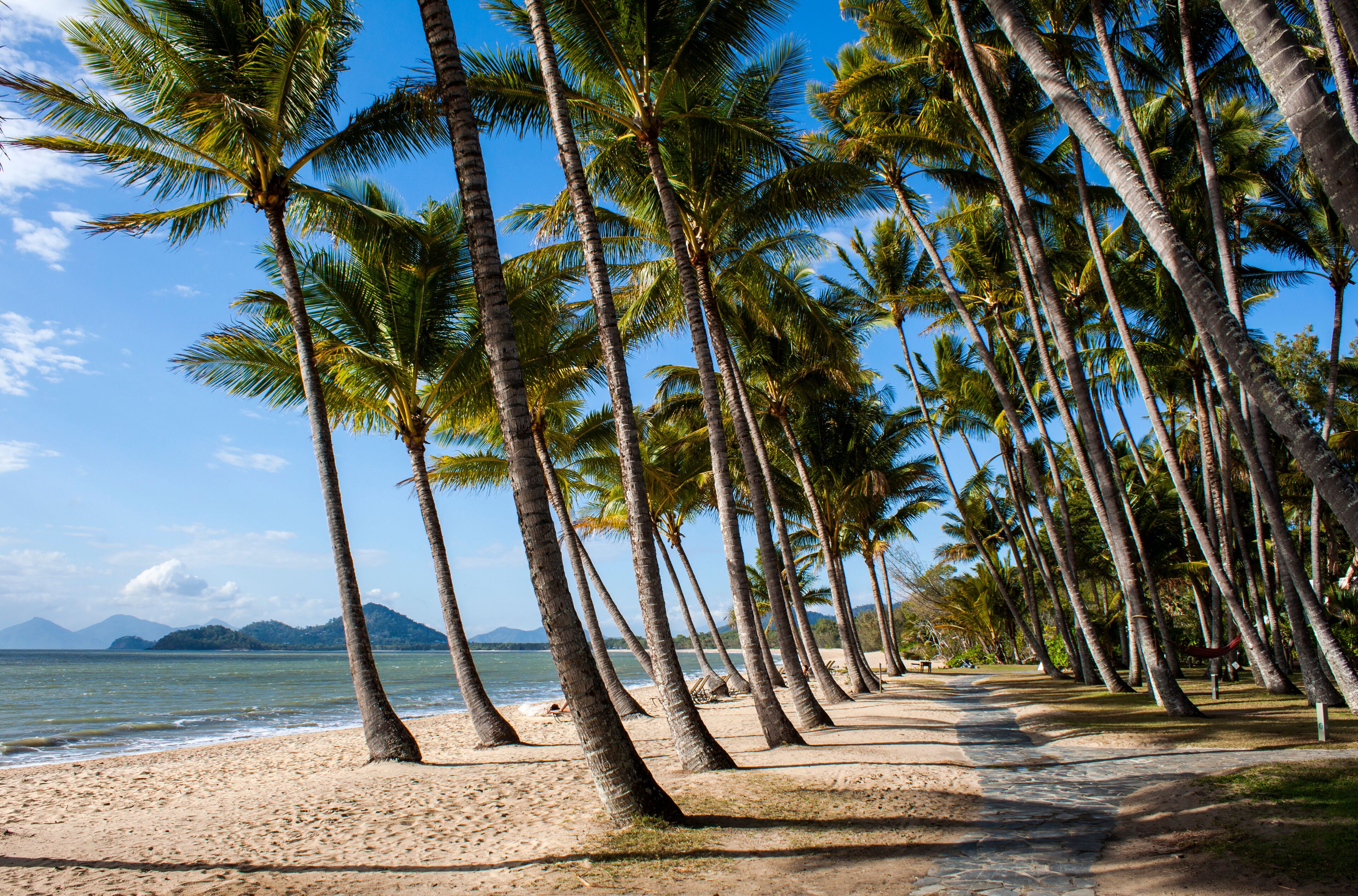 Palm Cove with its beautiful stand of coconut palms right on the beach is a popular tourist destination in far north Queensland, Australia.