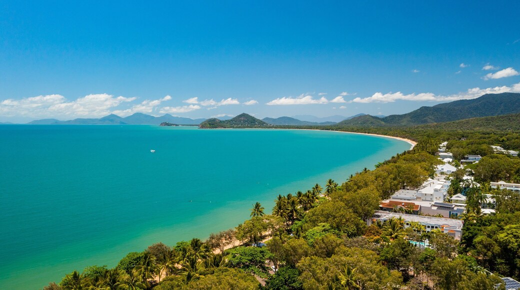 Palm Cove showing a coastal town, general coastal views and landscape views