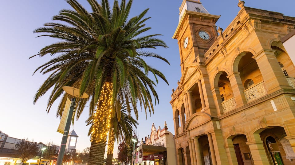 A historic building with a clock tower, palm trees with lights, and a clear sky.