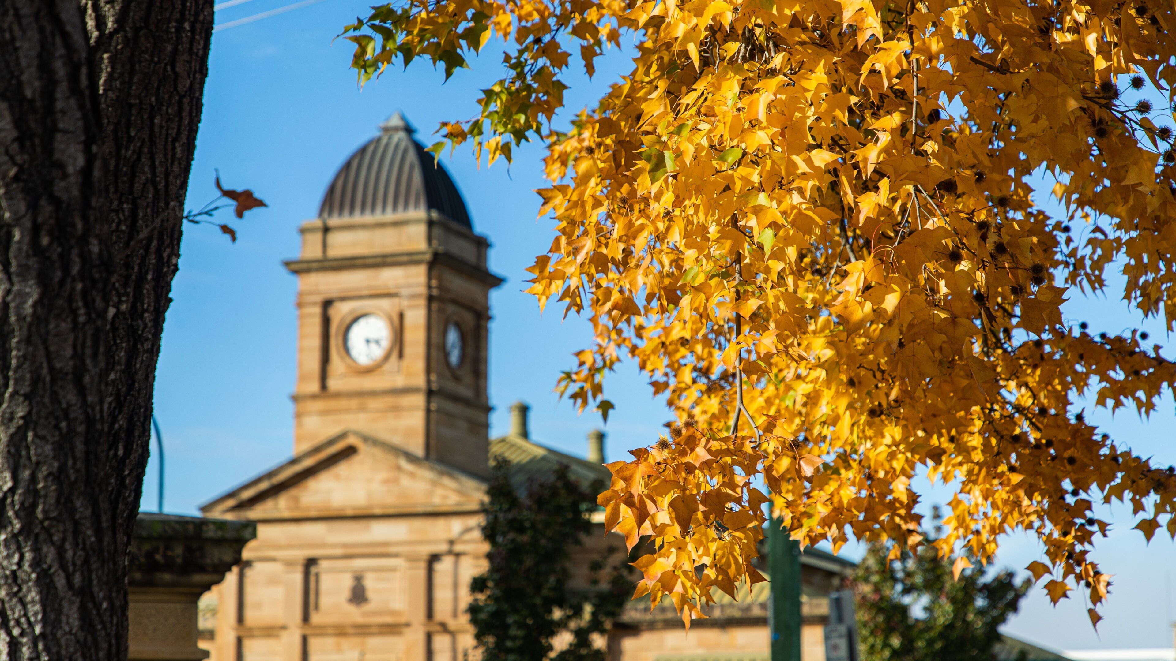 Warwick which includes heritage architecture and fall colors