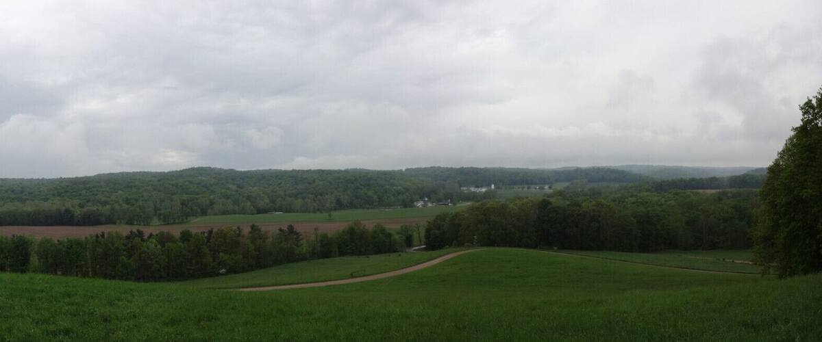A lush green landscape with rolling hills, a winding path, and a distant village.
