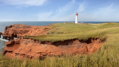 A lighthouse on a grassy cliff by the sea.