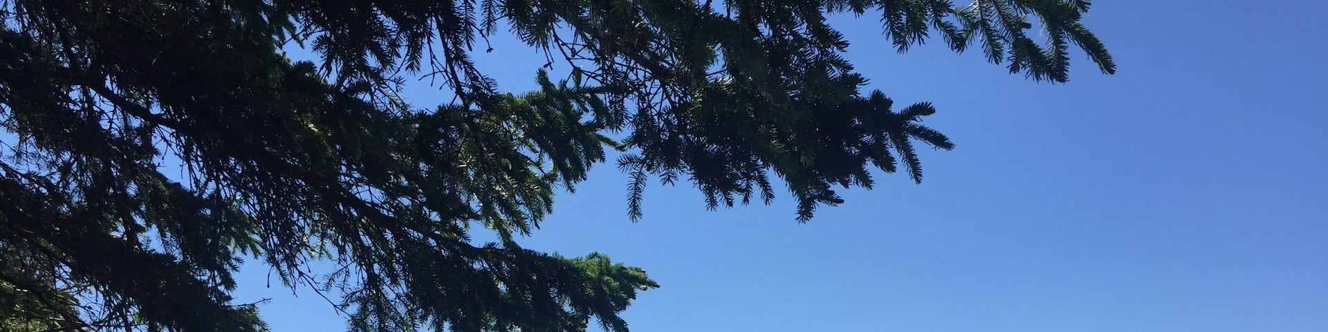 Tranquil shores found biking the 200 plus km route along the Train du Nord trail.