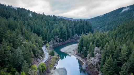 River winding through redwoods in Miranda, California