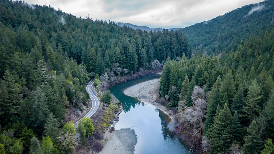 A winding river through a dense forest with a road curving alongside it.