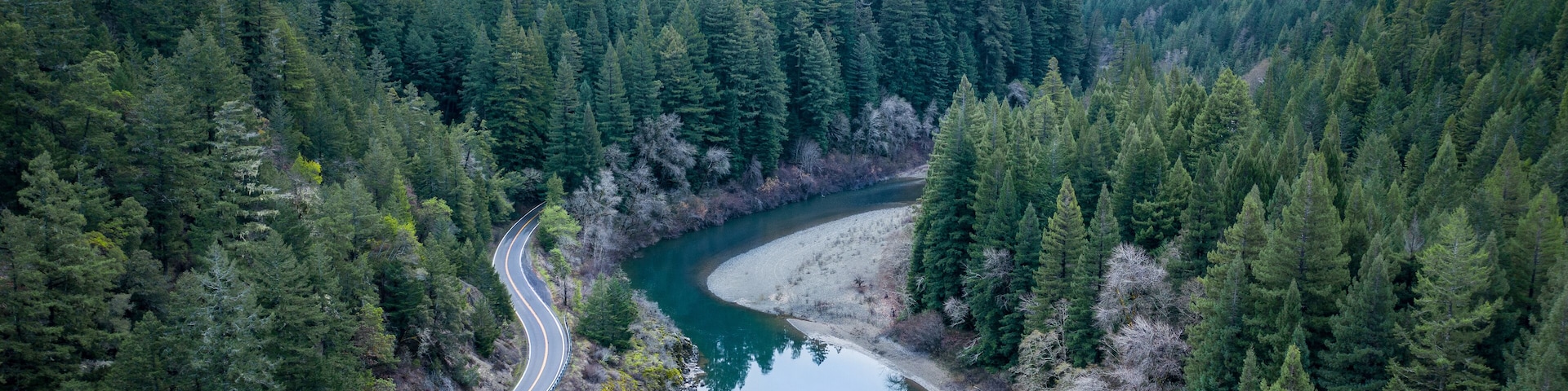 River winding through redwoods in Miranda, California