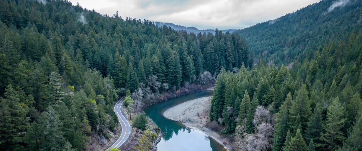 River winding through redwoods in Miranda, California