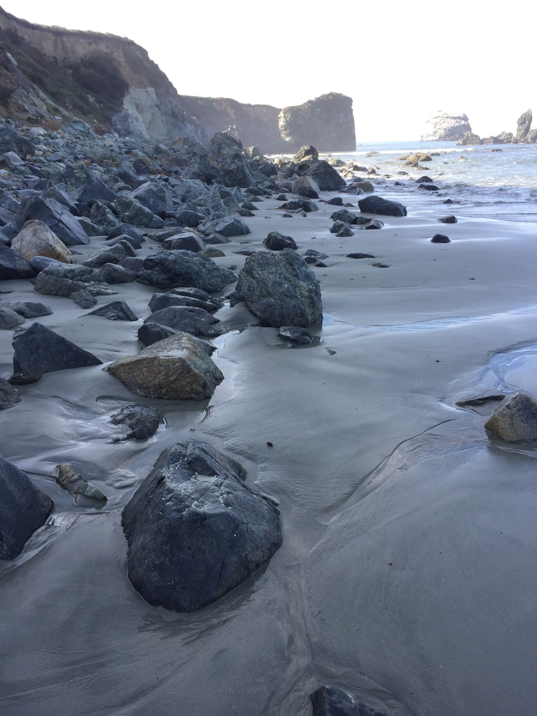 60 minutes south of Big Sur. Camped across the street at plaskett state park.  Beautiful beach. Found no Sand dollars, but did find some jade.