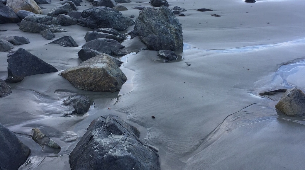 60 minutes south of Big Sur. Camped across the street at plaskett state park. Beautiful beach. Found no Sand dollars, but did find some jade.