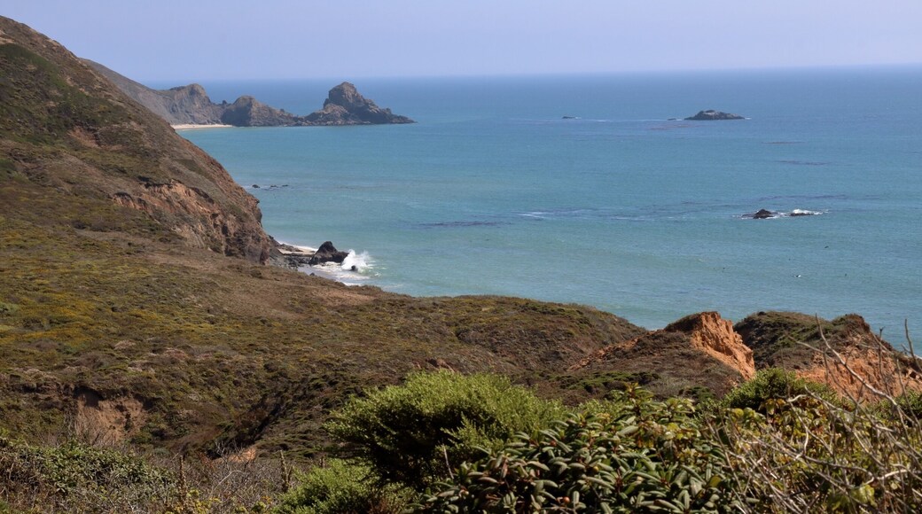 This is a fantastic hike! We took the Bluffs Trail and came back along the beach (keep an eye on the tides; you can only make it at low tide and will still get a little wet). Add the Ridge Trail for panoramic views. That is Cooper Point off in the distance. đđâ°