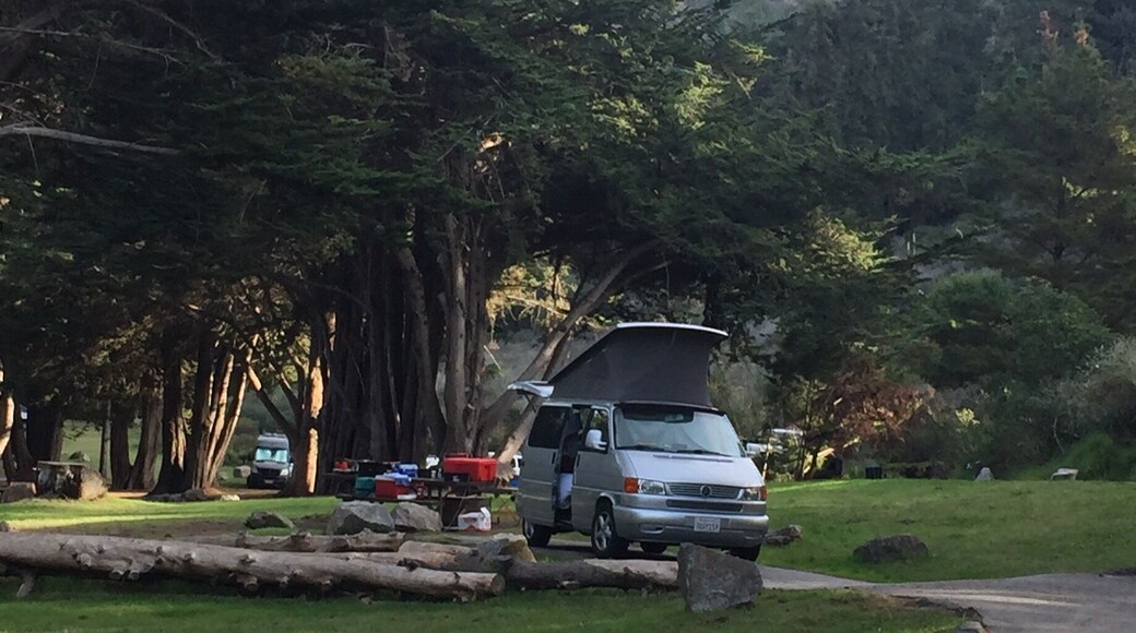 Just discovered my new fav campground. It's across the street from Jade Cove and Sand Dollar Beach. ❤️ Beautifully kept, green grass (green grass in California???) Camped in our beloved VW Eurovan campervan.