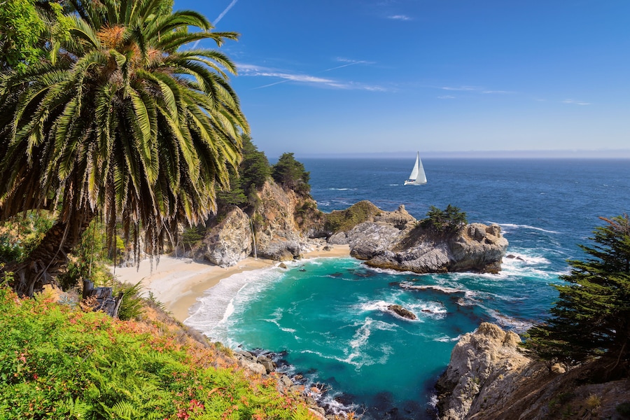 Beautiful beach with palm trees and the white yacht on the horizon. Julia Pfeiffer beach, Big Sur. California, USA, Shutterstock ID , Purchase Order: -