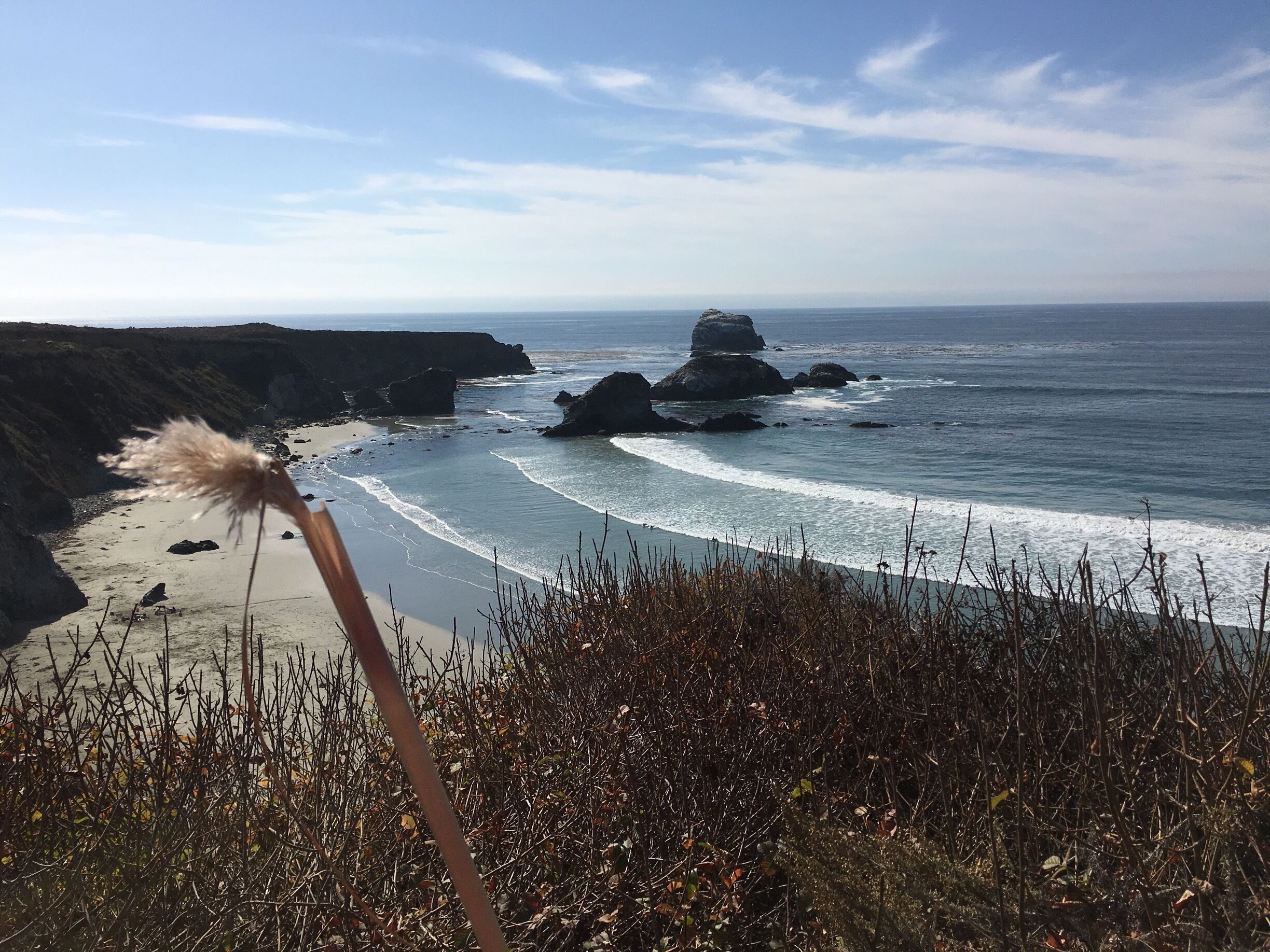 So you've just visited historic McWay Falls located in the Julia Pfeiffer Burns State Park.  Now what, you might ask. If you're ready for more adventure then get back on the Pacific Coast Highway, and continue South about 25 miles to Sand Dollar Beach.  It's a climb in and out, the  ground is a little unsteady, and there are a whole lot of stairs to climb, but it's worth it. Here you'll want to linger and explore.  You'll find plenty of talkative sea lions catching some sun on the rocks, a few sea birds, and maybe some otters!   If the weather is just right, this is a great place to swim and surf!  Be sure to look closely at the rocks on the beach, as the tide brings in some amazing sea life for you to discover. 
#BeachBound