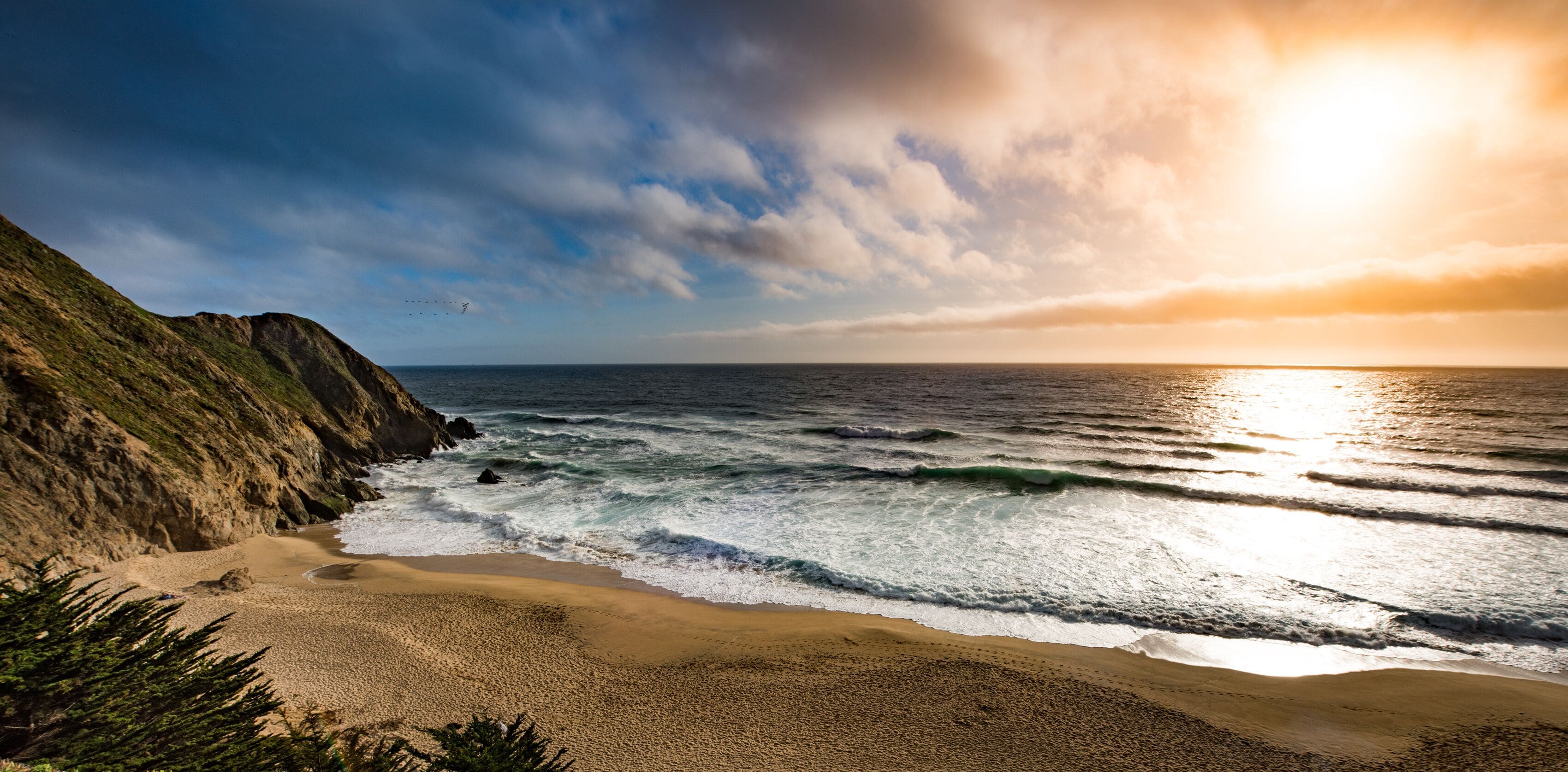 Gray Whale Cove Beach California