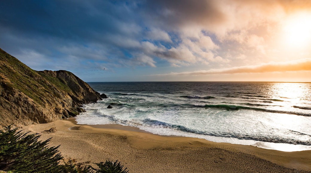Gray Whale Cove Beach California