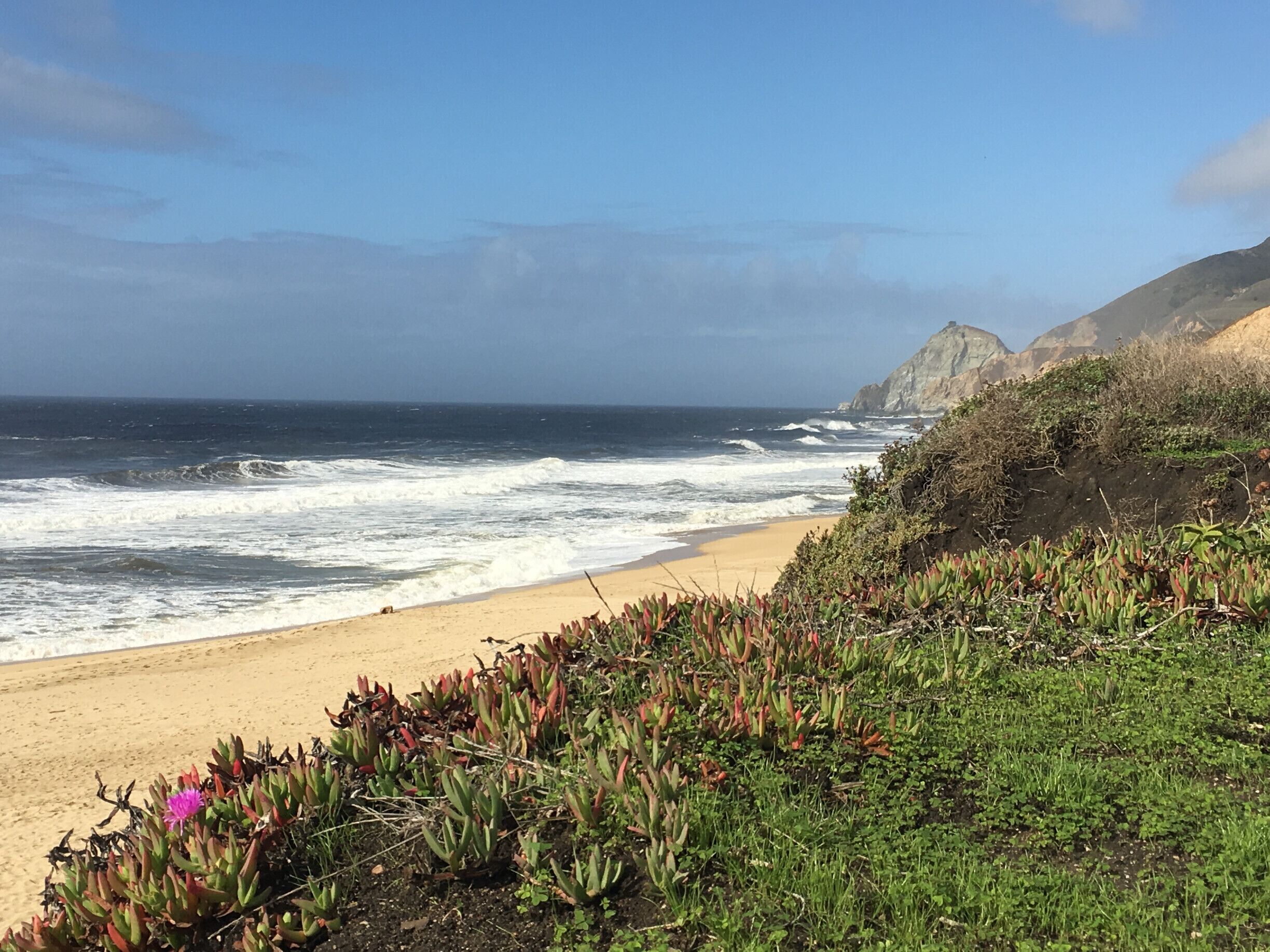 Love to stop here and listen to the ocean! This beach is a popular location for exploring tide pools and surf fishing. The beach is bounded by low hills both to the north and south. #roadtrip #beach #ocean #hiking #nature #waves #surf 