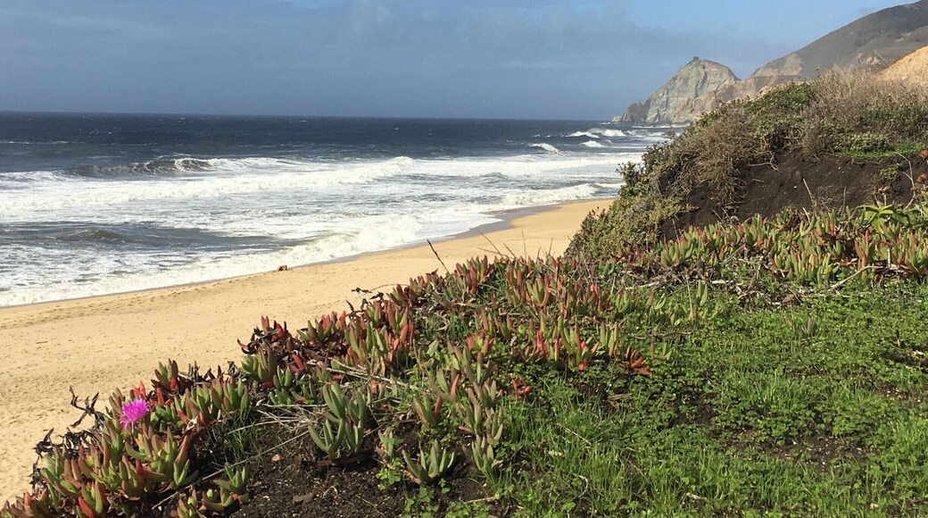 Love to stop here and listen to the ocean! This beach is a popular location for exploring tide pools and surf fishing. The beach is bounded by low hills both to the north and south. #roadtrip #beach #ocean #hiking #nature #waves #surf