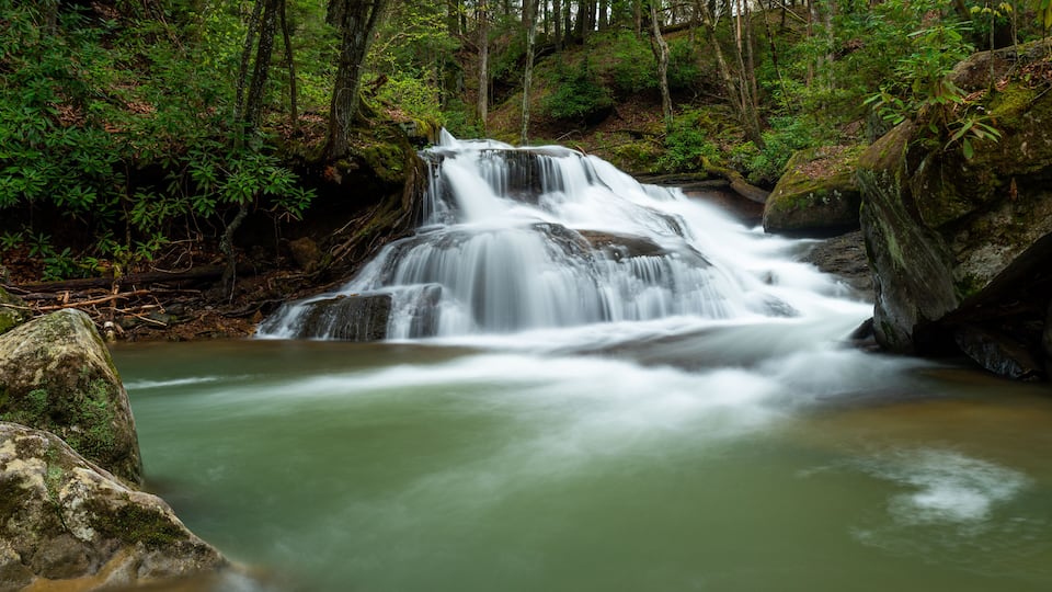 A waterfall in a forested area with moss-covered rocks and dense greenery.