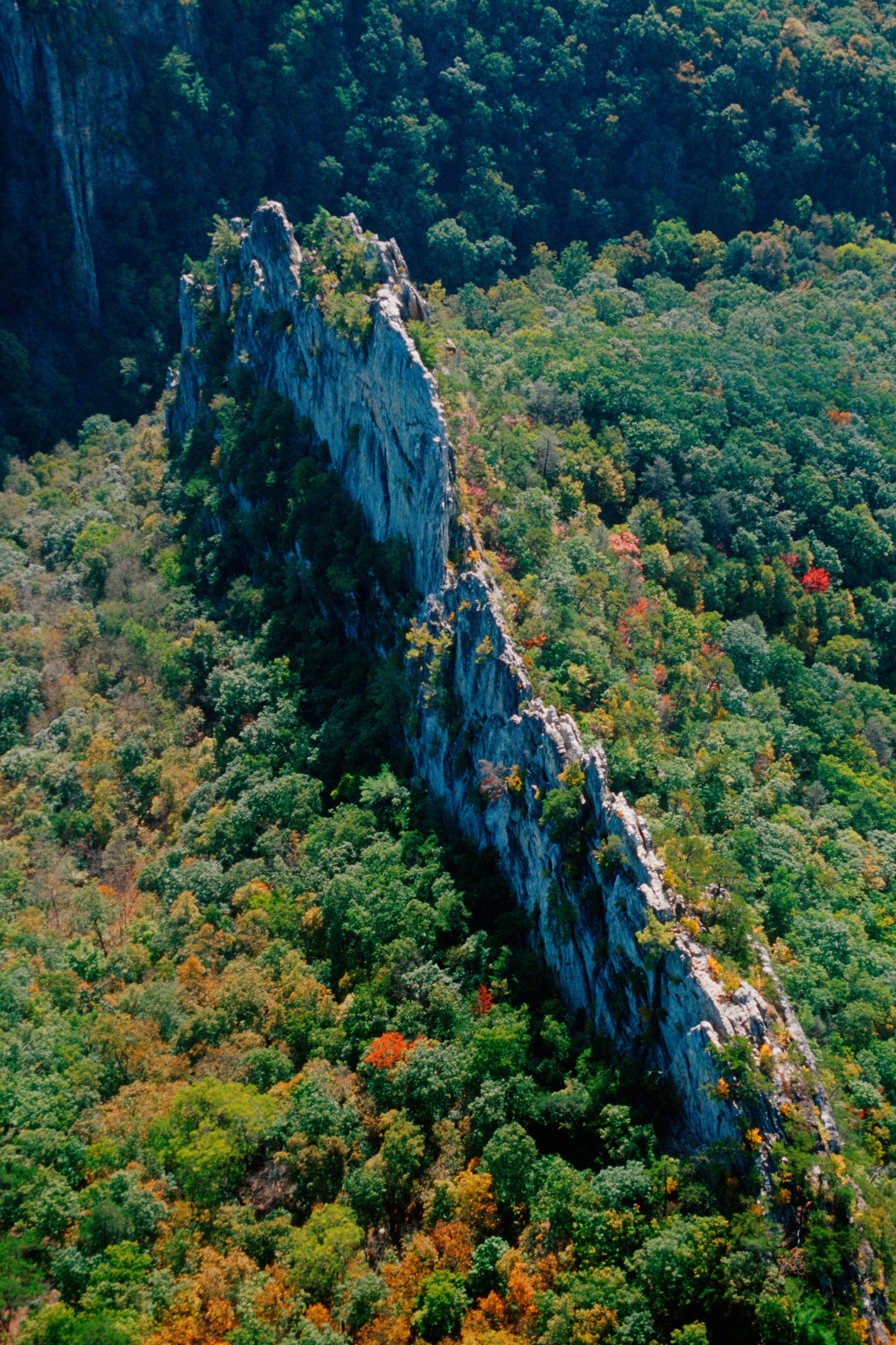A rugged cliff with dense forested slopes.