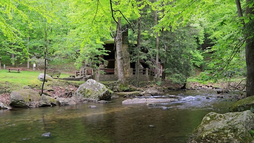 Holly River SP - West Virginia