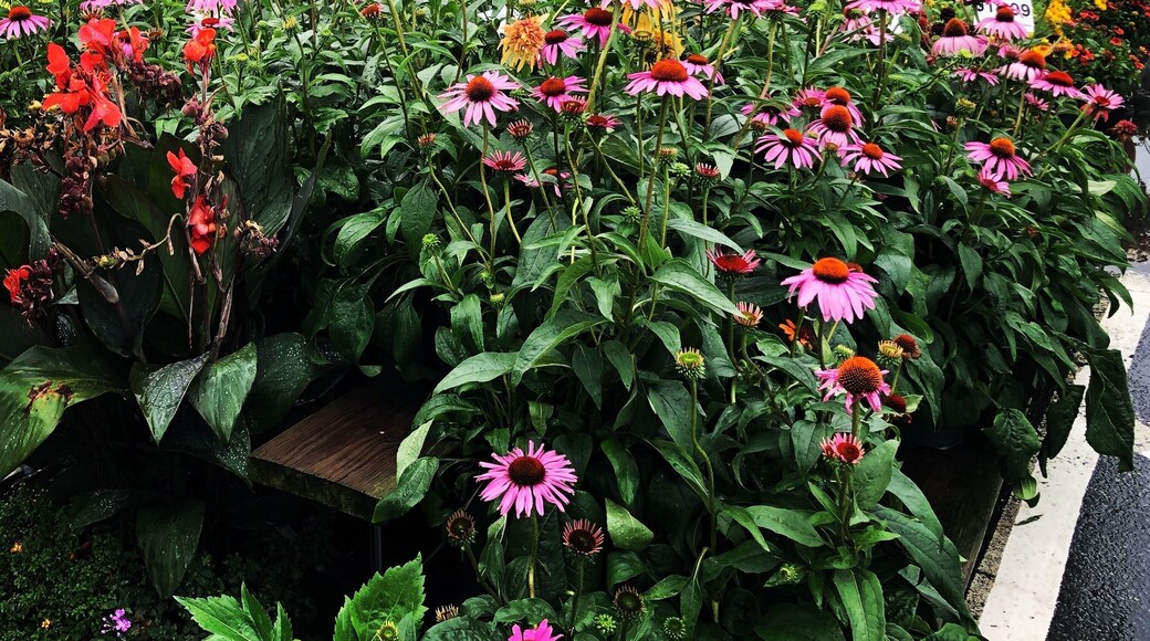 A beautiful small town in USA, full of scenery, welcoming people..
#trovember