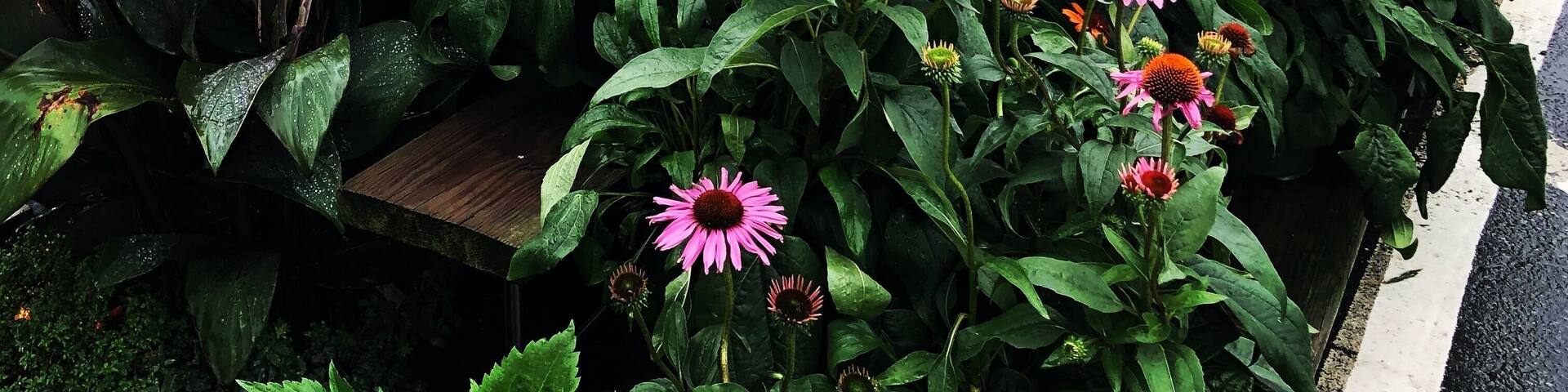 A beautiful small town in USA, full of scenery, welcoming people..
#trovember