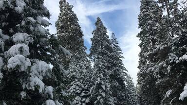 Arnold, California A perfect winter day