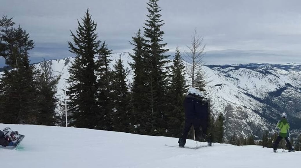 Right after you get off the life, just enjoy the views for a moment.