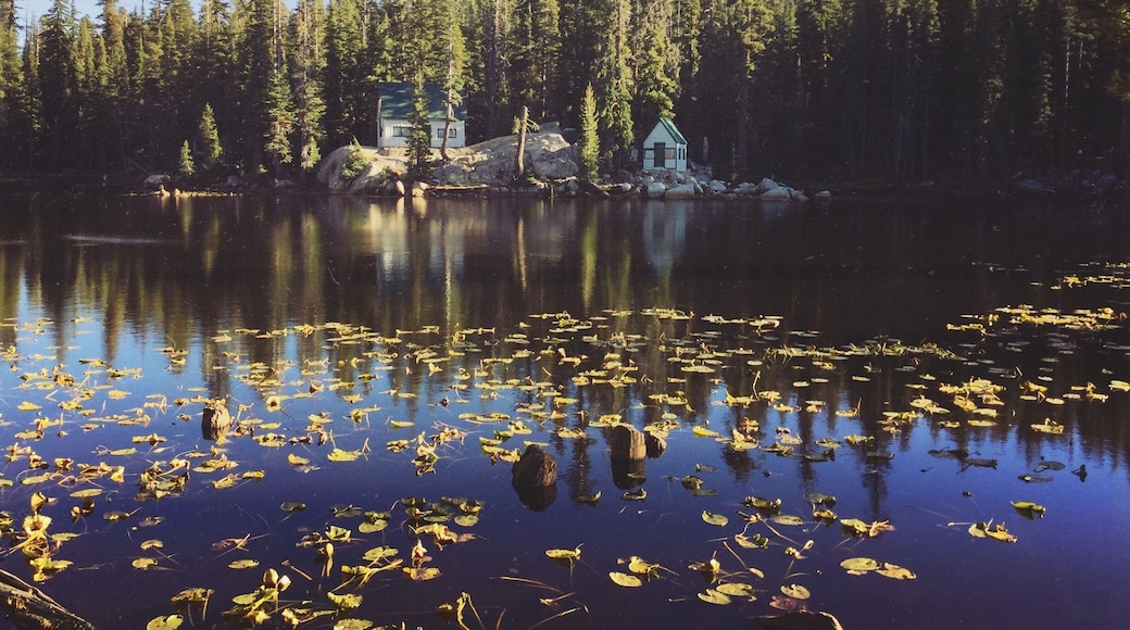 Dad and I rode up as far as Hermit Valley on Ebbetts Pass Sunday afternoon. Mosquito Lake on the way was picturesque as usual.