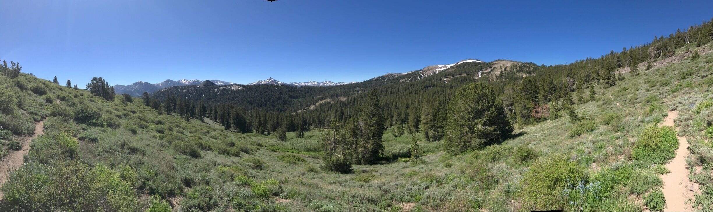 Got a little lost but still had a good time 🍃