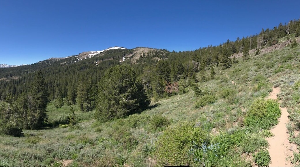 Got a little lost but still had a good time 🍃