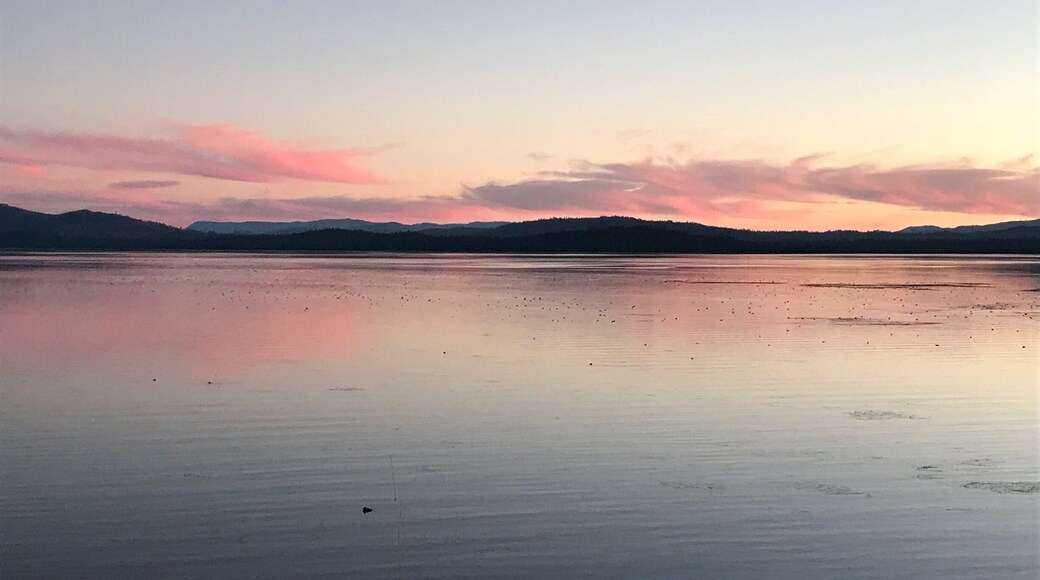 Lake Almanor from Chester. Got a little lost on my way from Susanville to Burney and ended up at this gorgeous Lake Almanor. Sometimes it’s good to get lost.