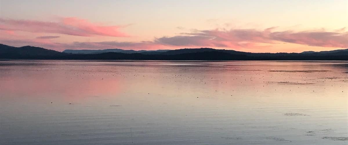 Lake Almanor from Chester. Got a little lost on my way from Susanville to Burney and ended up at this gorgeous Lake Almanor. Sometimes it’s good to get lost.