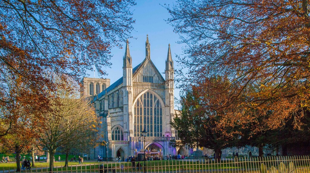 Winchester Cathedral in Autumn,Hampshire ,England.